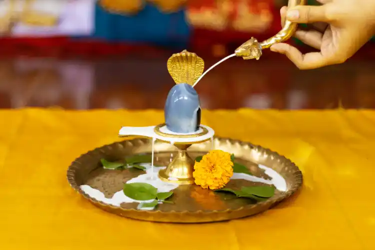 Rudrabhishek Puja to remove your sufferings - MyPandit