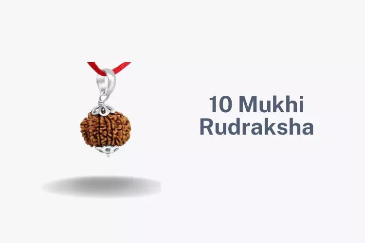 Know The Benefits of 10 Mukhi Rudraksha And You Will Never Leave It