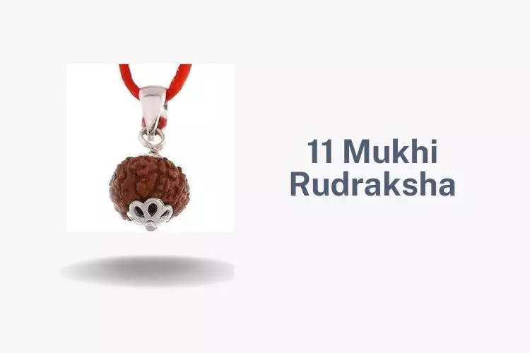 Know The Benefits of 11 Mukhi Rudraksha To Get All Wishes Fulfilled