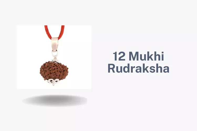 12 Mukhi Rudraksha: Remove All Obstacles From Your Life!