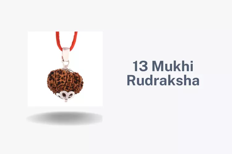 Wear 13 Mukhi Rudraksha And Get Any Of Your Wishes Fulfilled