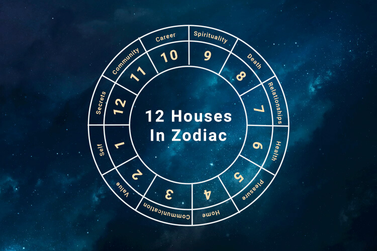 does everyone have 12 houses in astrology