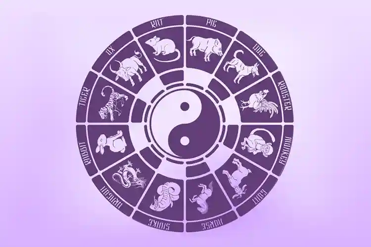 what is my chinese zodiac elements