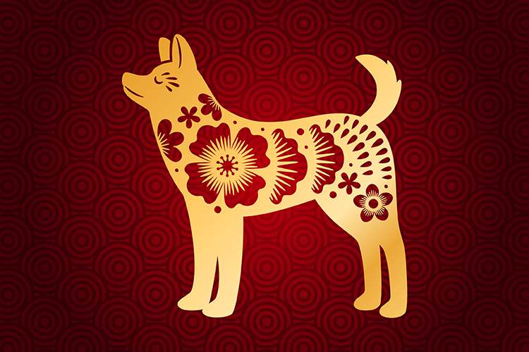 The Chinese Zodiac Dog Astrology :  The Year of the Dog