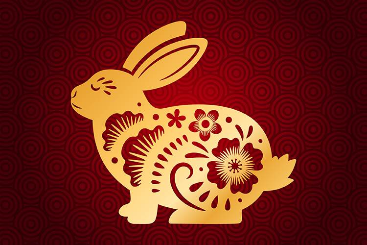 Year Of The Rabbit