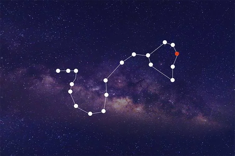 2023 Nakshatra Predictions: What Stars Have In Store For You?