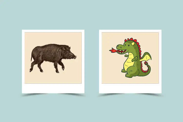Boar – Dragon Compatibility: Characteristic and Astrological match