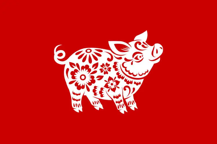 Chinese Zodiac Signs Pig Boar Astrology Animal 