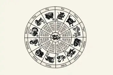 Chinese Zodiac Calculator and How It Works For You