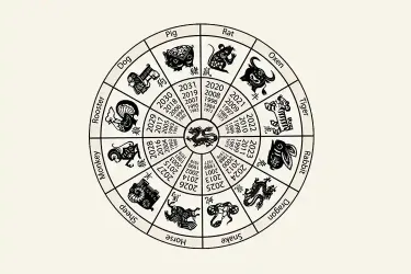 Chinese Zodiac Signs and Hours of the Day Meaning