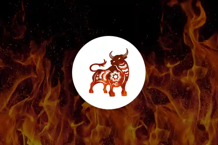Fire Ox: 360 Overviews of Chinese Zodiac Fire Ox