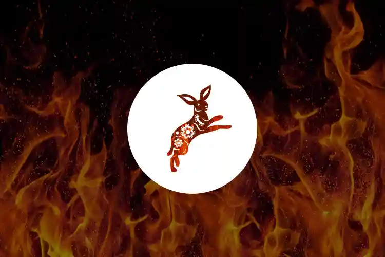 Fire Rabbit: 360-degree View of Chinese Zodiac Sign Fire Rabbit