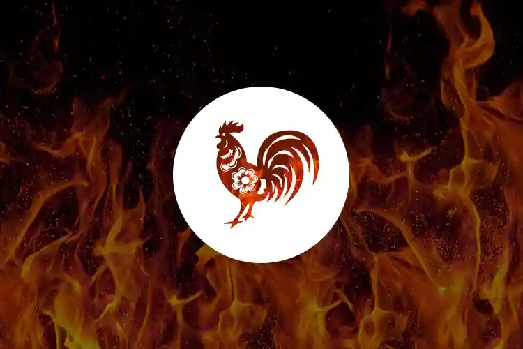 Fire Rooster: 360 Degree View About the Personality of Fire Rooster