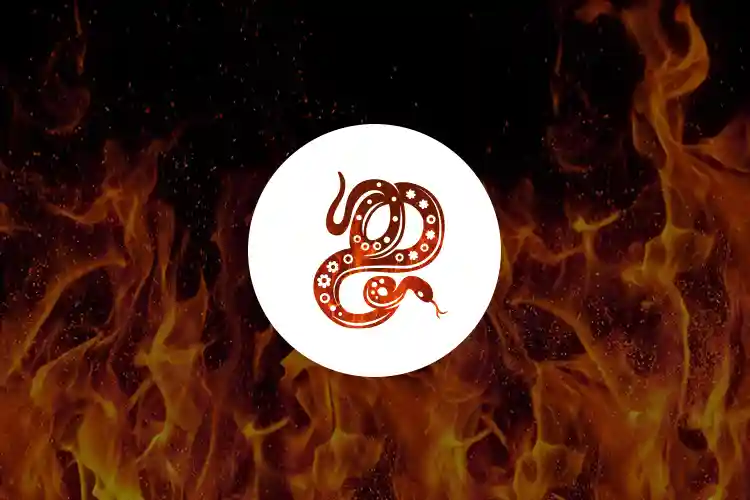 Fire Snake Zodiac and Their Clever, Witty Personalities
