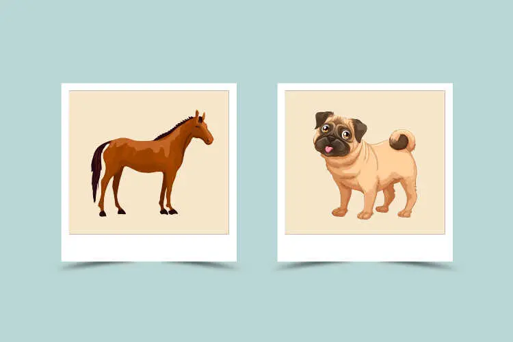 Is Tiger And Dog Compatible