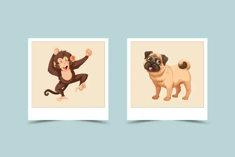 कुत्ता और बंदर के बीच संबंध अनुकूलता को जानिए