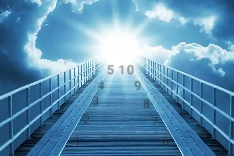 Numerology Life Path Number
