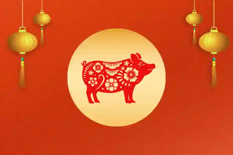 chinese zodiac signs boar