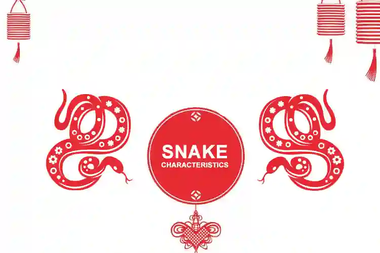 chinese zodiac snake