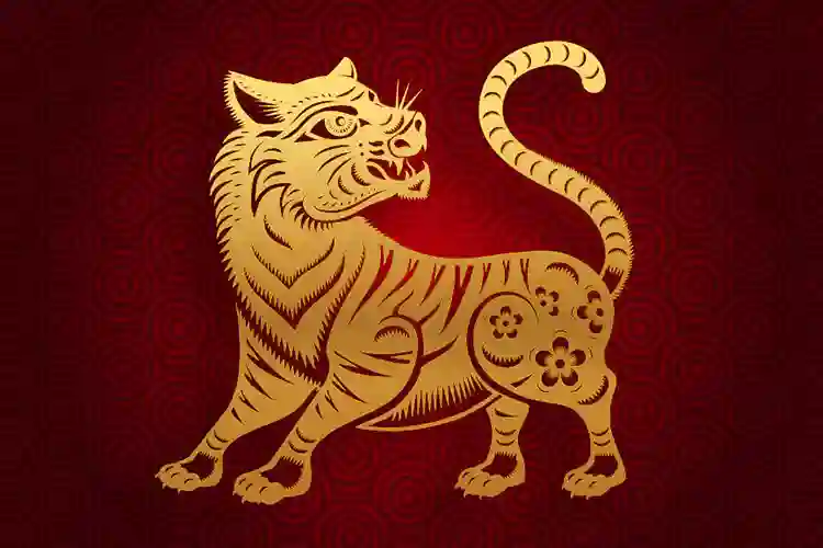Chinese Zodiac Tiger Astrology : The Year of the Tiger