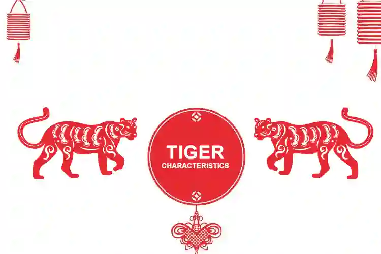 Tiger Chinese Zodiac Characteristics and Traits - MyPandit