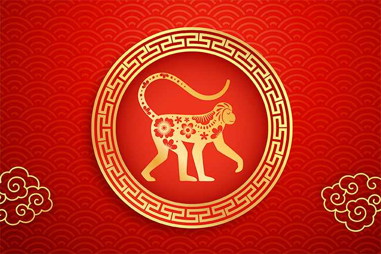 Chinese Zodiac Monkey: The Year of the Monkey