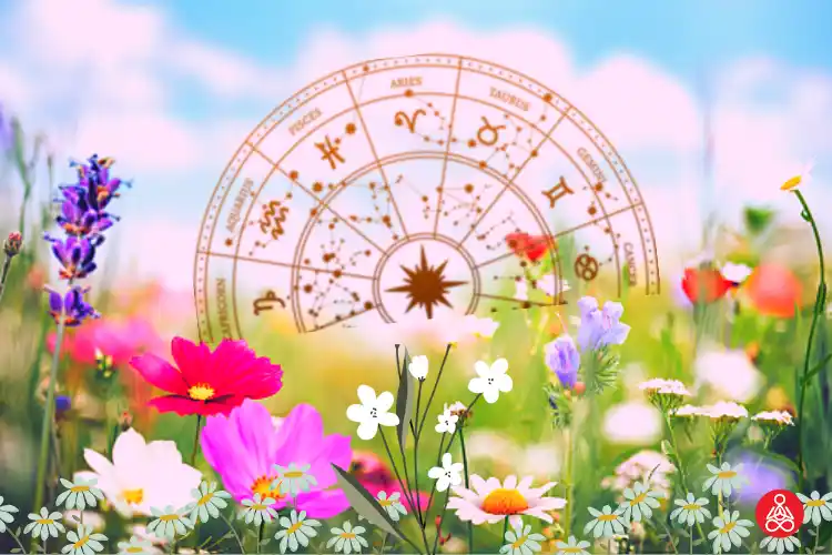 Zodiac Flowers
