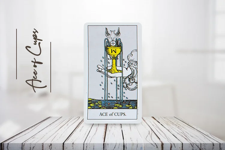 Ace of Cups: Tarot Card Meanings: Meaning Of Ace Of Cups