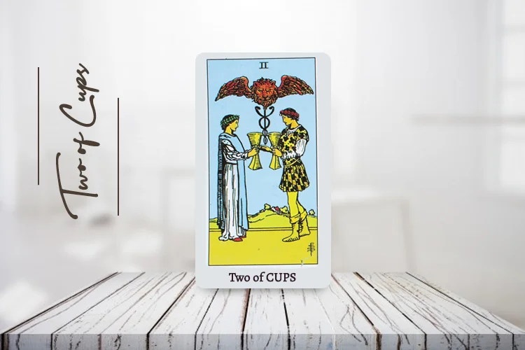Two of Cups Tarot Card  Meaning – MyPandit