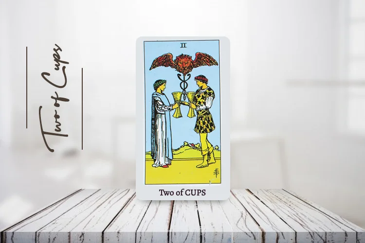 Two of Cups Tarot Card Meaning Upright and Reversed, Tarot Oak