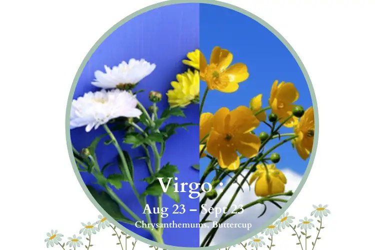 Virgo Flowers - What is Virgo's Zodiac Flower?