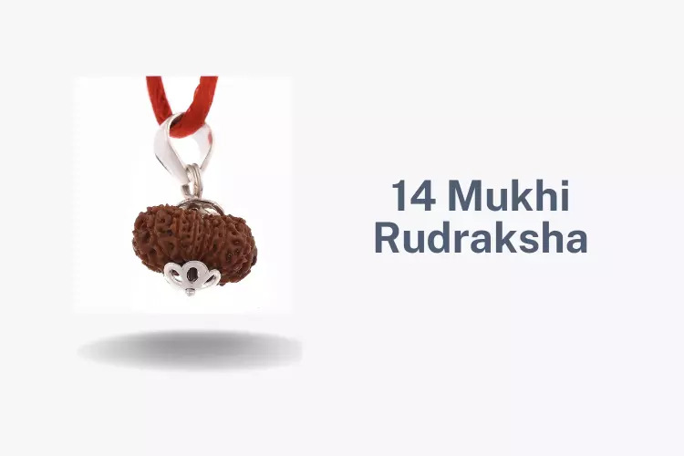 How 14 Mukhi Rudraksha Is Helpful in Reducing All Your Problems In Life?