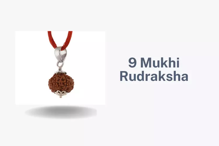 Buy Nine Mukhi Rudraksha And Get Solution For All Your Problems