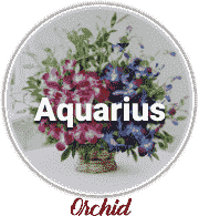 Aquarius