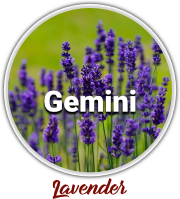 gemini