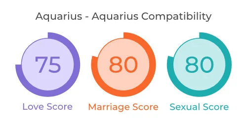 Aquarius - Aquarius Comaptibility