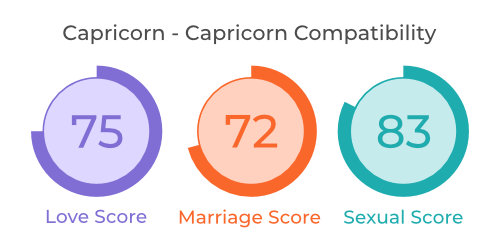 Capricorn - Capricorn Compatibility