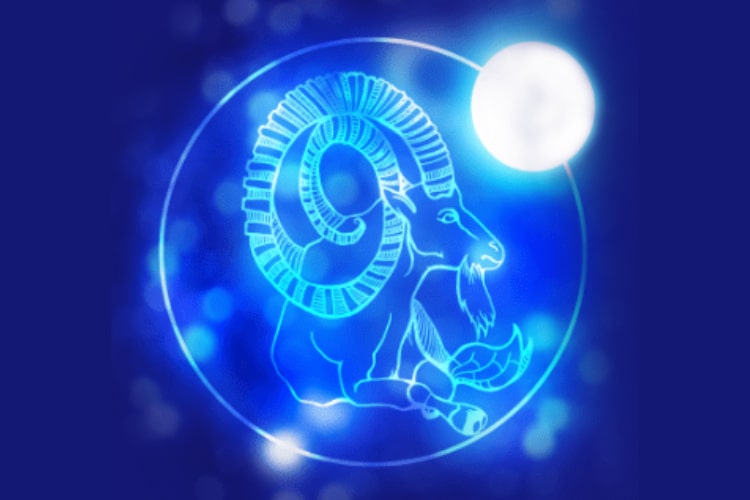 Capricorn Symbol (The Sea-Goat)